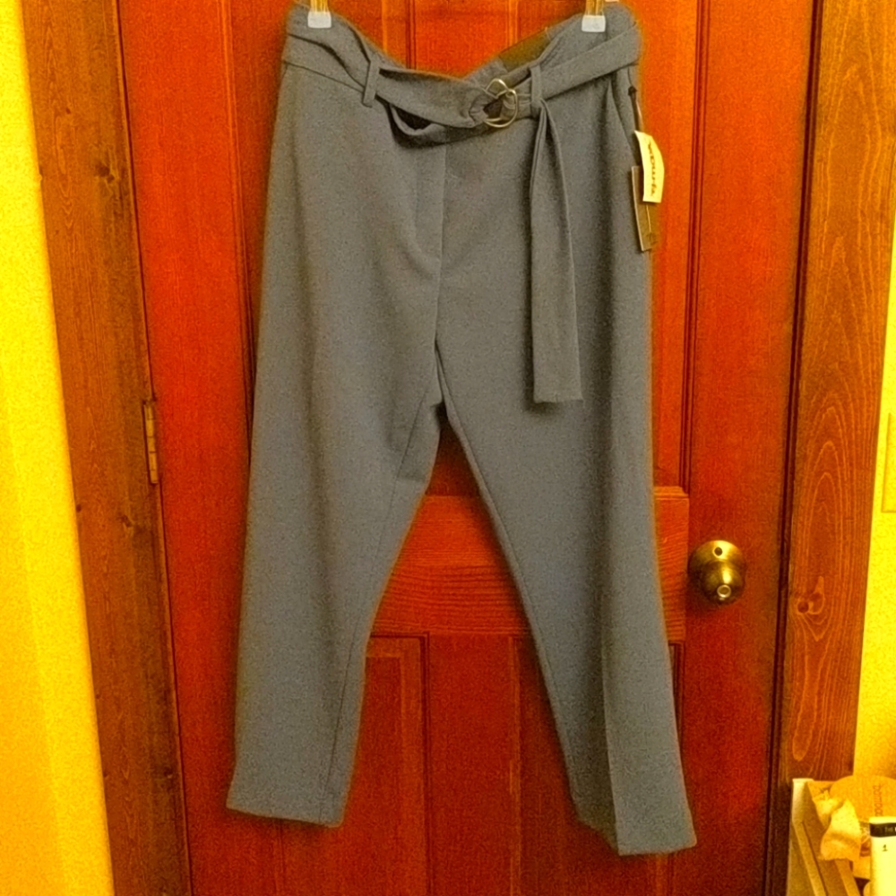 Cropped ankle pant, large, blue